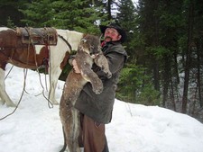 A real good Montana tom lion